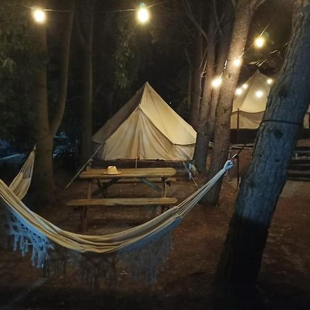 Bungalows Y Glamping Medina Sidonia Eksteriør billede