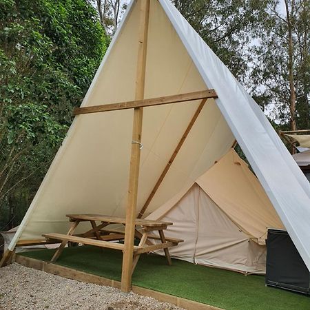 Bungalows Y Glamping Medina Sidonia Eksteriør billede