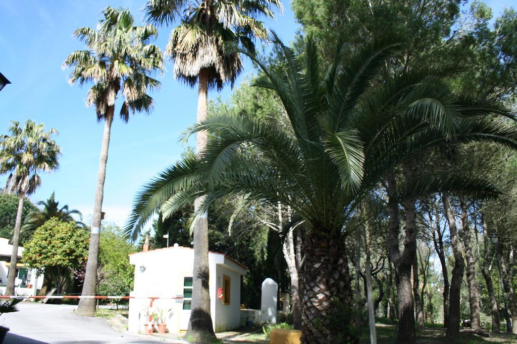 Bungalows Y Glamping Medina Sidonia Eksteriør billede