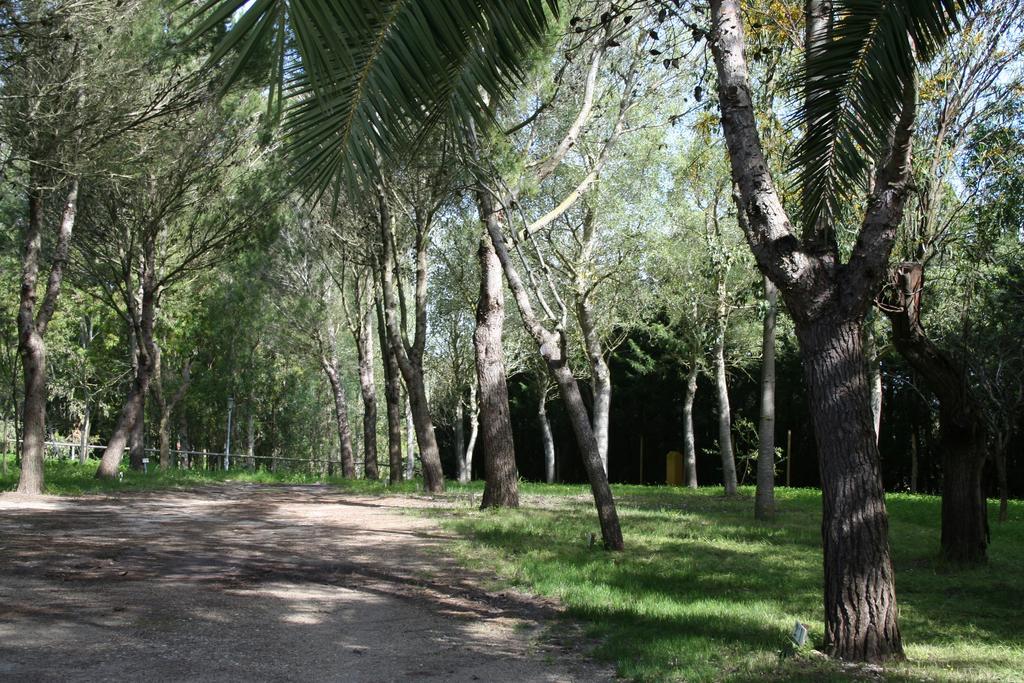 Bungalows Y Glamping Medina Sidonia Eksteriør billede